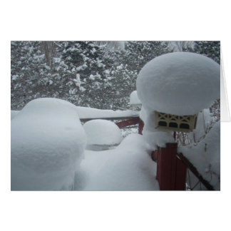 Vista de invierno desde el portón