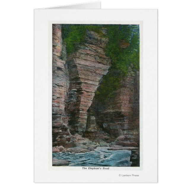 Vista de la cabeza del elefante (Frente)