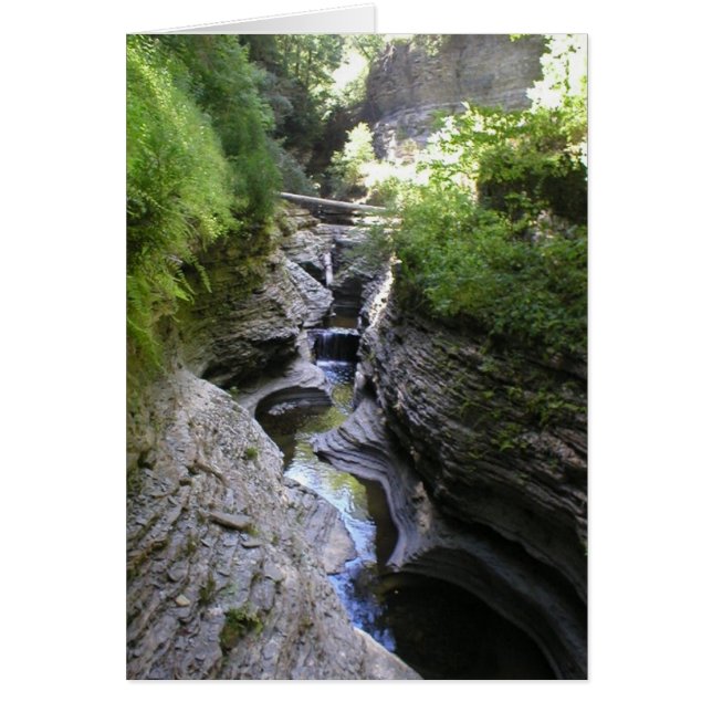 Vista de la cañada de Watkin (Frente)