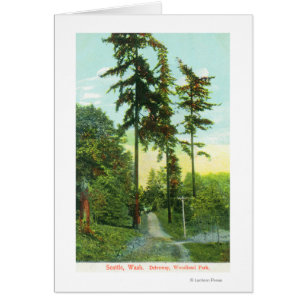 Vista de la carretera en el parque Woodland