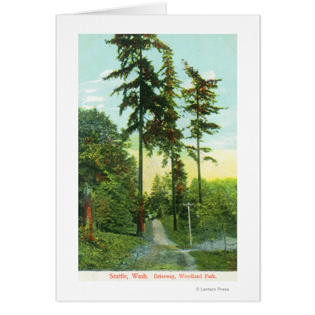 Vista de la carretera en el parque Woodland (Frente)