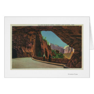 Vista de la galería en la carretera del monte