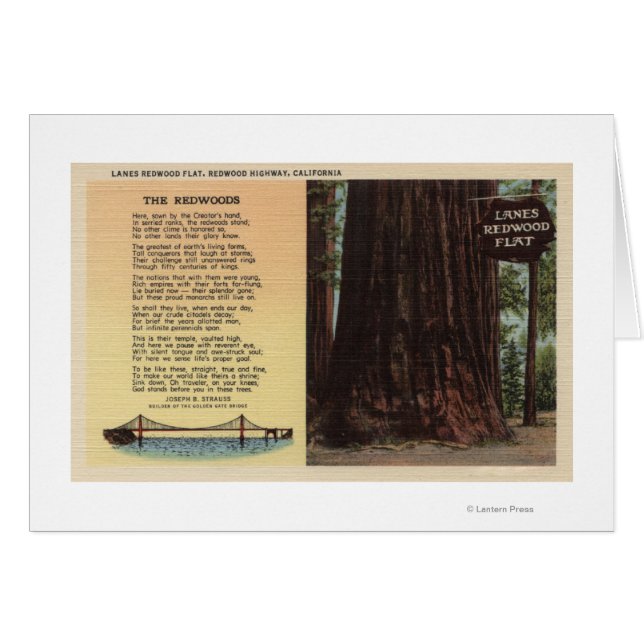 Vista de la Llanura de secuoya de Lanes (Anverso (Horizontal))