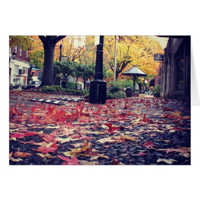 Vista de la vereda de las hojas de otoño (Anverso (Horizontal))
