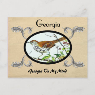 Vista de la vieja postal Georgia Stste