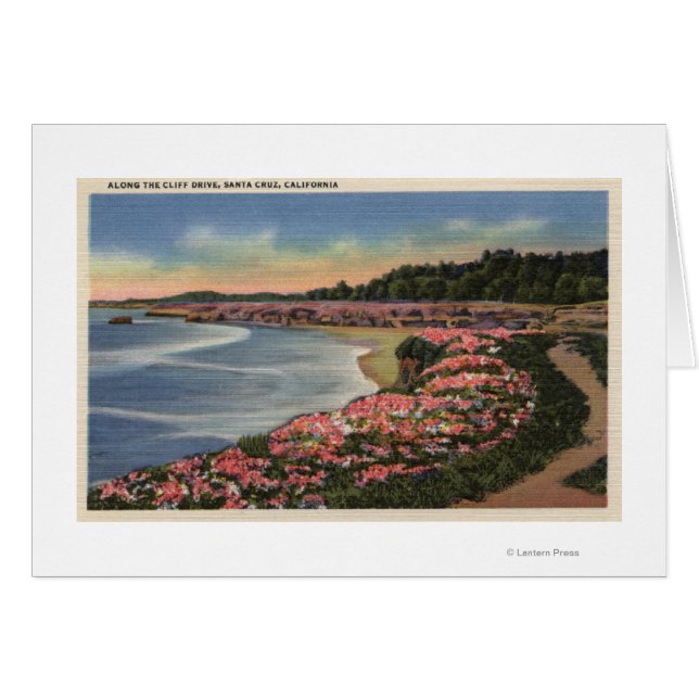 Vista de los océanos, playas y flores por acantila (Anverso (Horizontal))