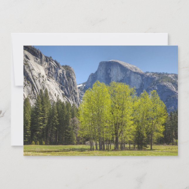 Vista de media domo (Anverso)