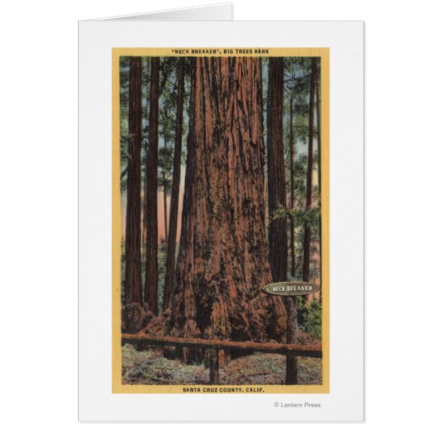 Vista de "Neck Breaker" en el parque de los Grande (Frente)