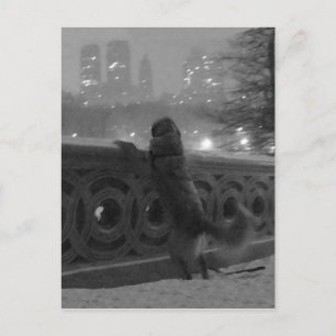 Vista de nieve desde la tarjeta postal Bow Bridge-