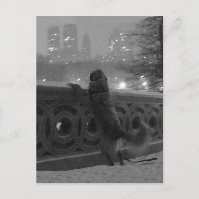 Vista de nieve desde la tarjeta postal Bow Bridge- (Anverso)