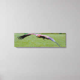 Vista de ojos de pájaro sobre impresión de tela pa