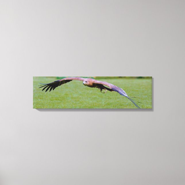 Vista de ojos de pájaro sobre impresión de tela pa (Anverso)