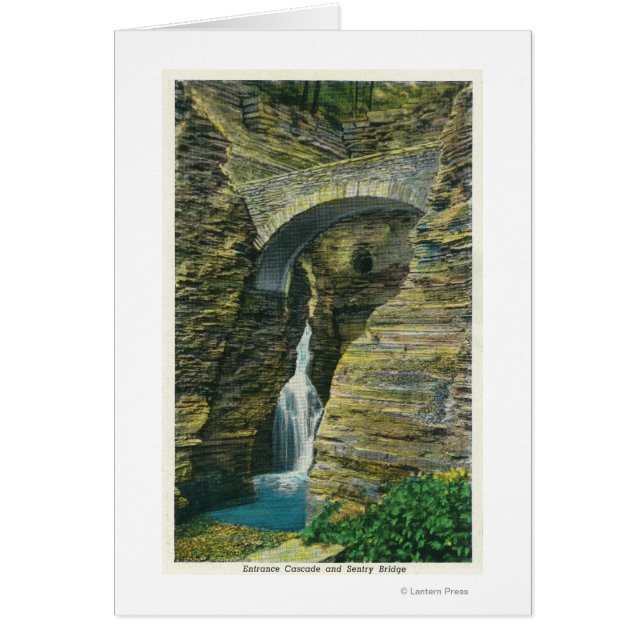 Vista de puente de entrada en cascada y entrada (Frente)