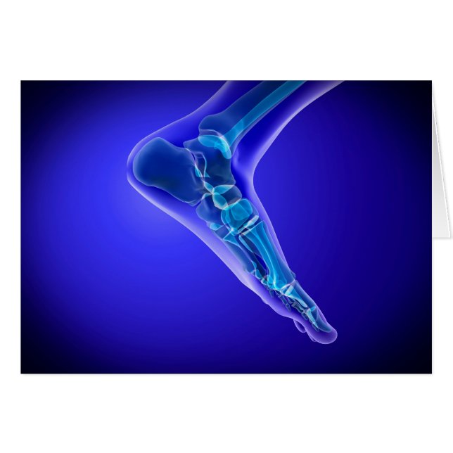 Vista De Rayos X De Pie Humano 3 (Anverso (Horizontal))