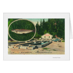 Vista de Trout Haven HatcheryGasquet, CA