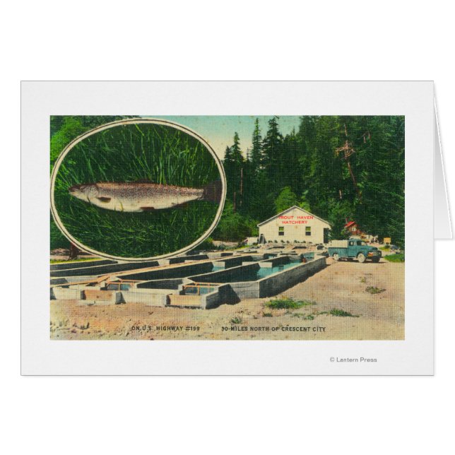 Vista de Trout Haven HatcheryGasquet, CA (Anverso (Horizontal))