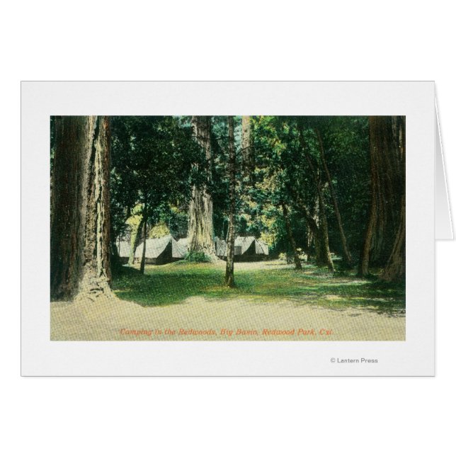 Vista de un campamento en las secuoyas (Anverso (Horizontal))