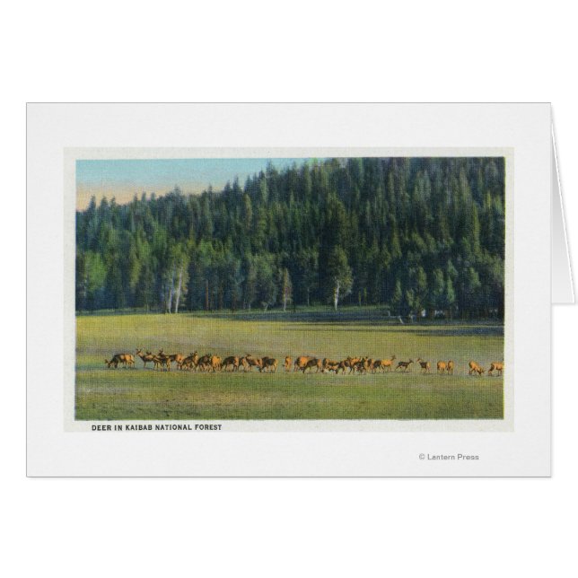 Vista de un paquete de barrido de ciervos (Anverso (Horizontal))