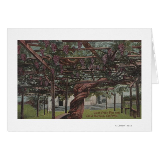 Vista de un vino de uva gigante (Anverso (Horizontal))