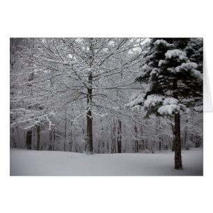 Vista de Woods