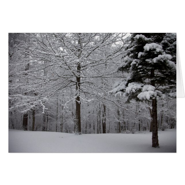 Vista de Woods (Anverso (Horizontal))