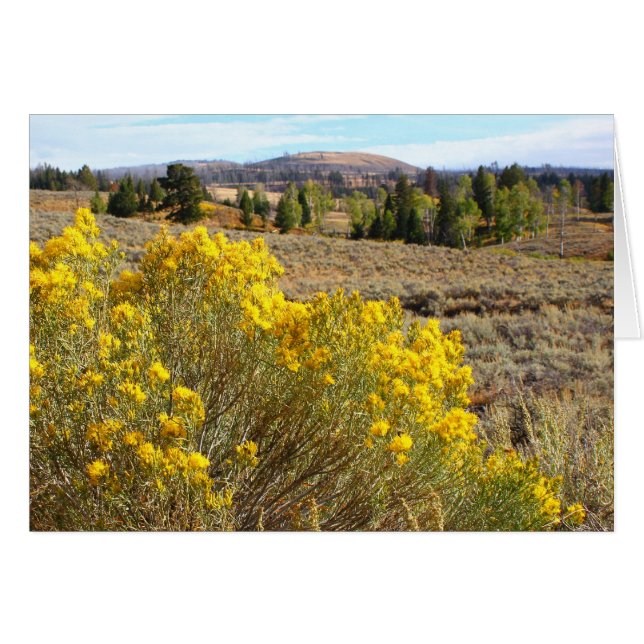 Vista de Yellowstone (Anverso (Horizontal))
