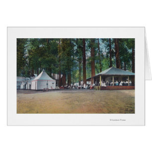 Vista del Campo CurryYosemite Nat'l Park, CA