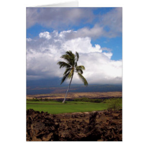 Vista del campo de golf hawaiano