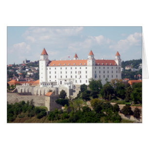 vista del castillo blanco de bratislava