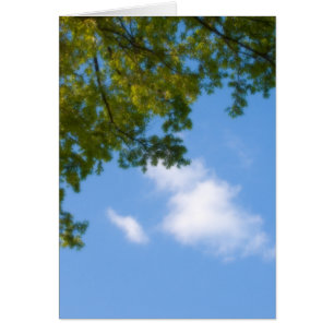 vista del cielo con la parte superior del árbol