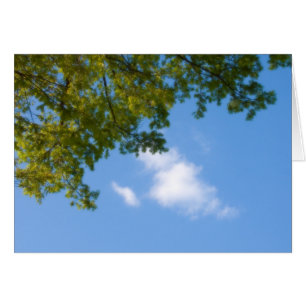 vista del cielo con la parte superior del árbol