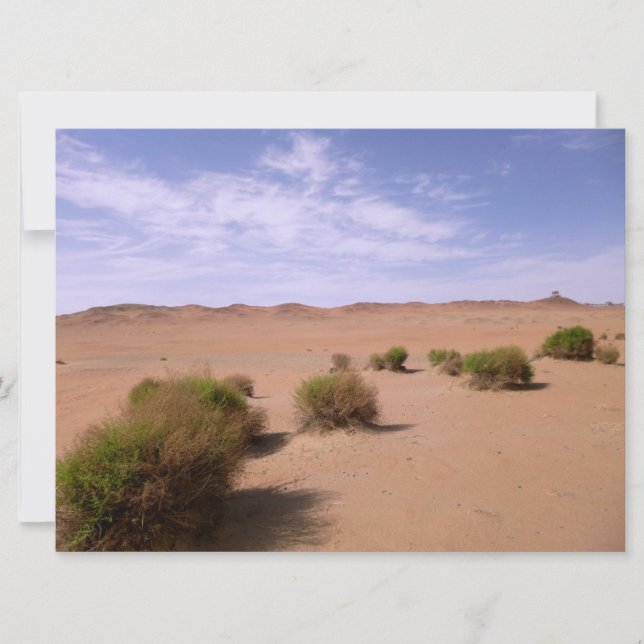 Vista del desierto de Gobi (Anverso)