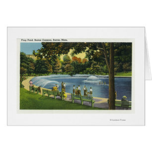 Vista del estanque común de rana de Boston