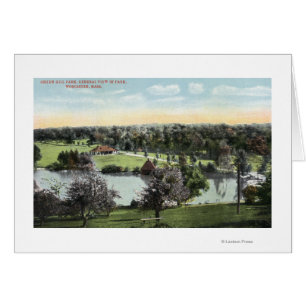 Vista del Parque Green Hill