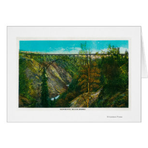 Vista del puente del huracán Gulch, Alaska