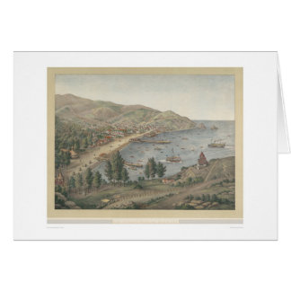 Vista del puerto de Avalon, isla de Santa Catalina