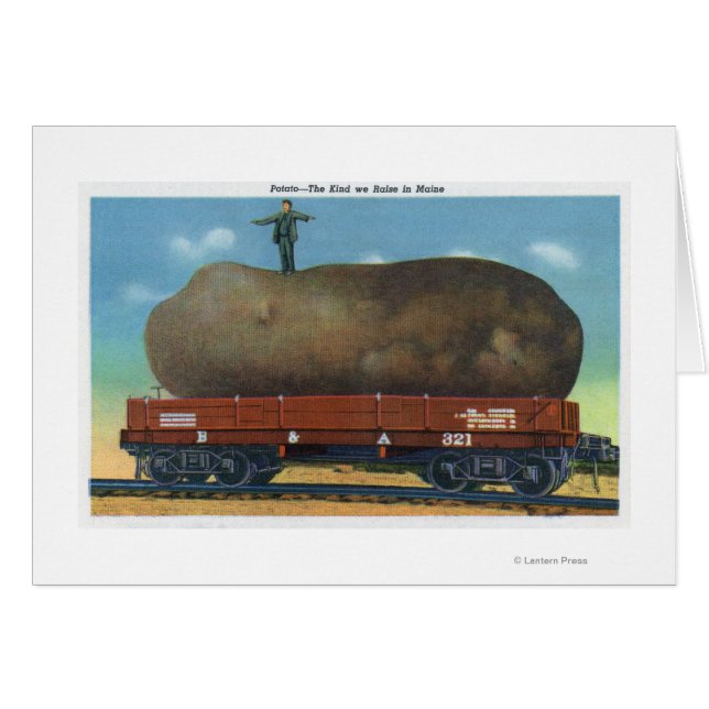 Vista del tipo de patatas criadas en Maine (Anverso (Horizontal))