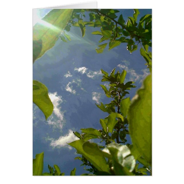 Vista desde el árbol de Apple (Frente)