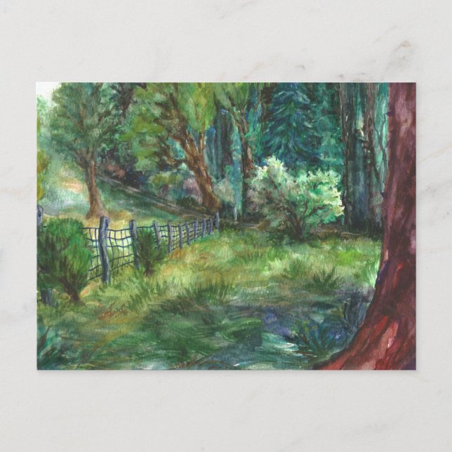 "Vista desde el Lodge." Tarjeta postal (Anverso)