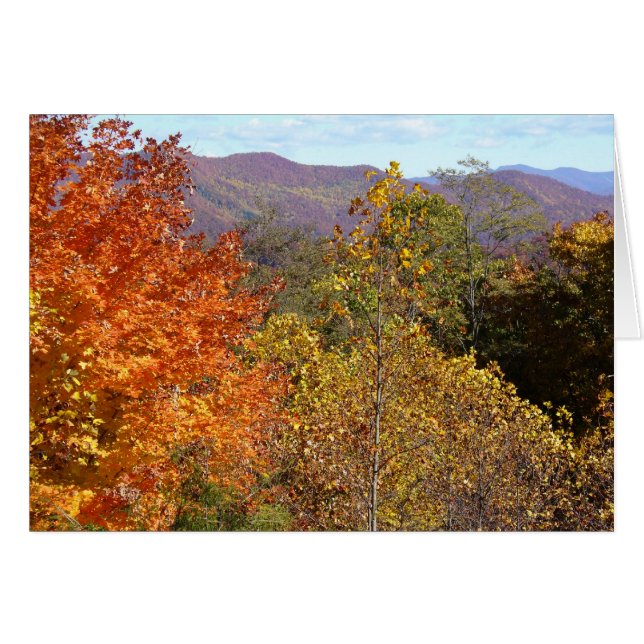 Vista desde la montaña Franklin (Anverso (Horizontal))