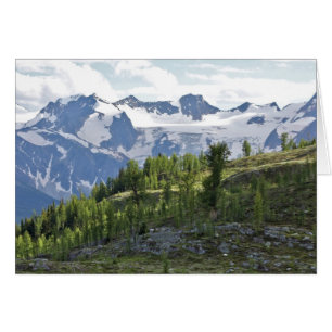 Vista desde Monica Meadows, BC, Canada Card