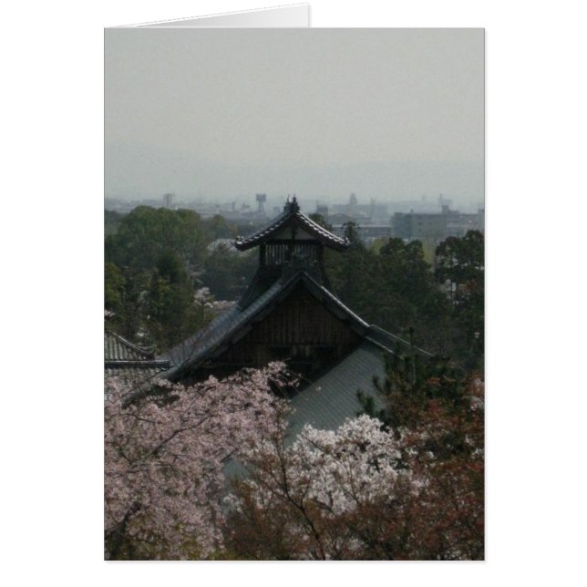 Vista en blanco desde okochi sansho (Frente)