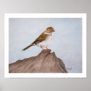 Vista en la impresión Sparrow 11"x14"