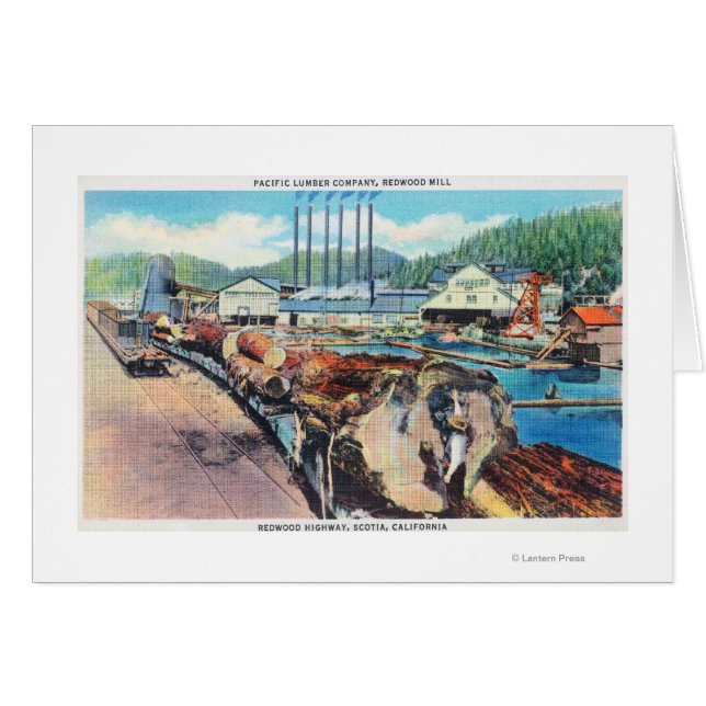 Vista exterior de Pacific Lumber Co, secuoya (Anverso (Horizontal))