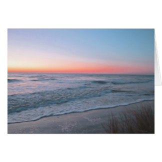 Vista frontal de la playa