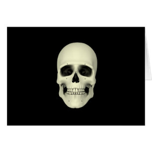 Vista frontal del cráneo humano