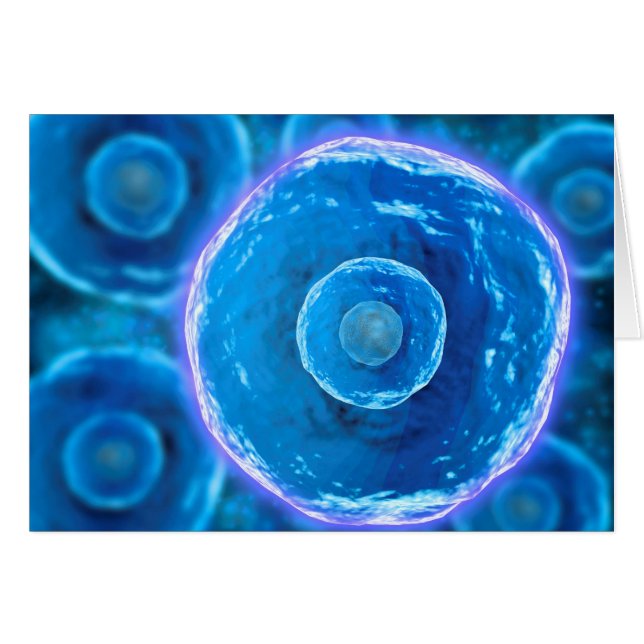 Vista Microscópica De Células B Humanas 1 (Anverso (Horizontal))