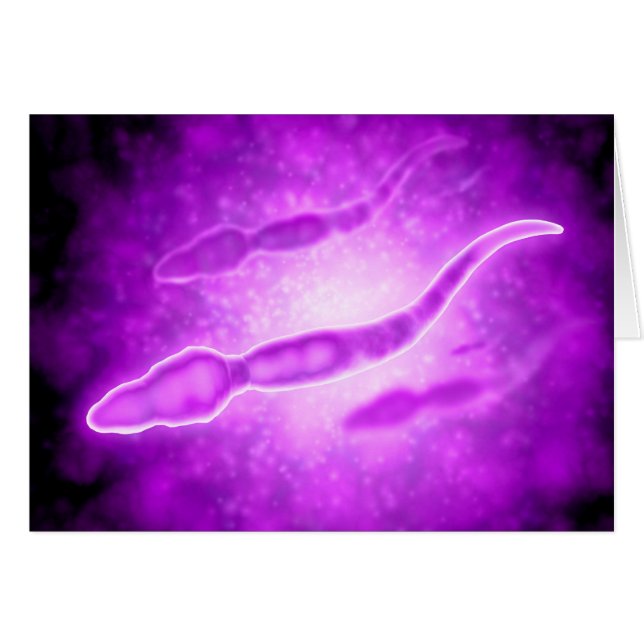 Vista Microscópica De Células De Esperma Masculino (Anverso (Horizontal))