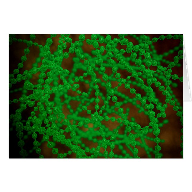 Vista Microscópica De Cocci Bacterium (Anverso (Horizontal))