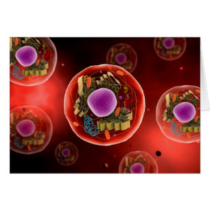 Vista Microscópica De La Celda Animal 2